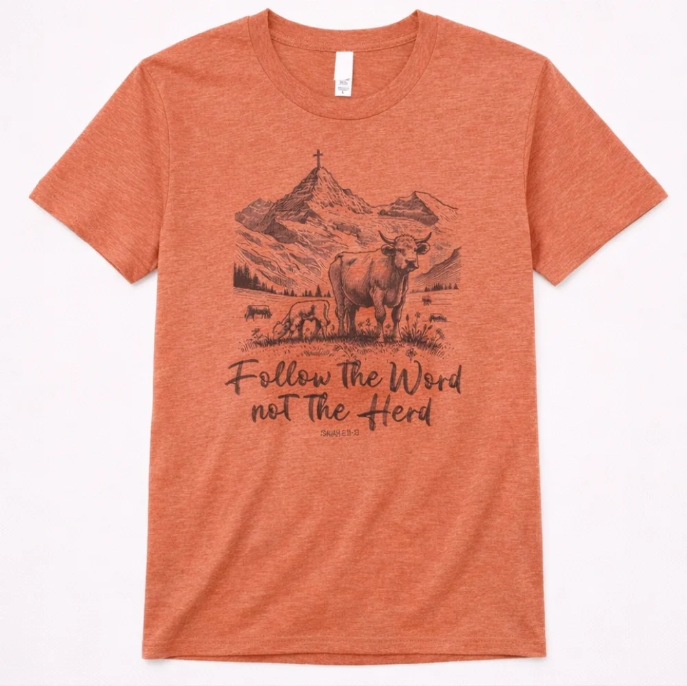 Love & Faith Follow The Word Not The Herd Terracotta Tee NWT L XL 2X 3X - Picture 3 of 4